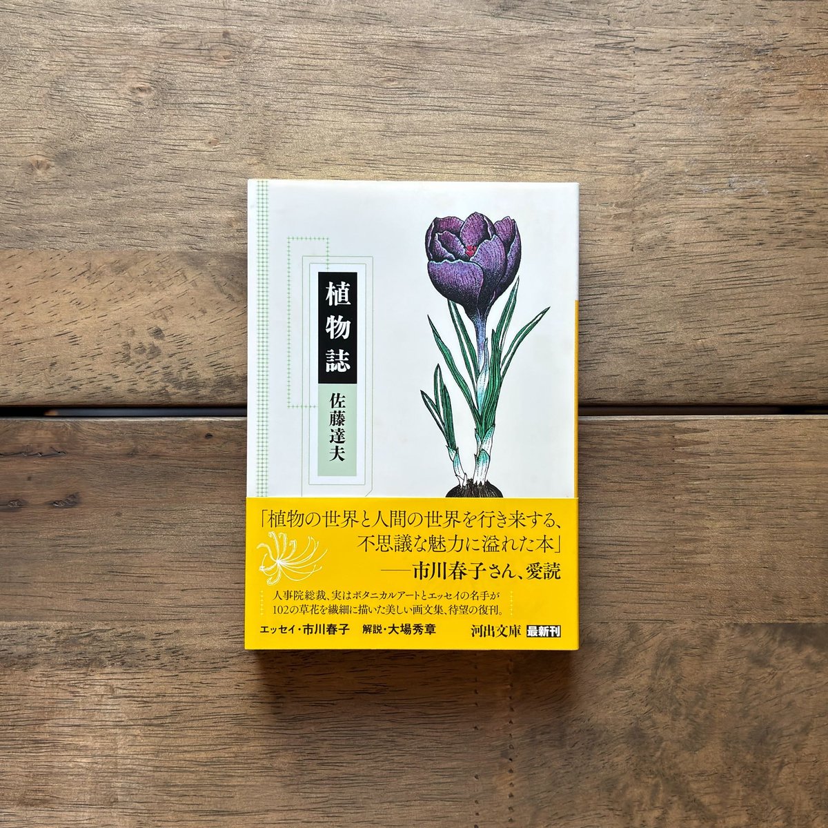 植物誌 | 緑蔭堂