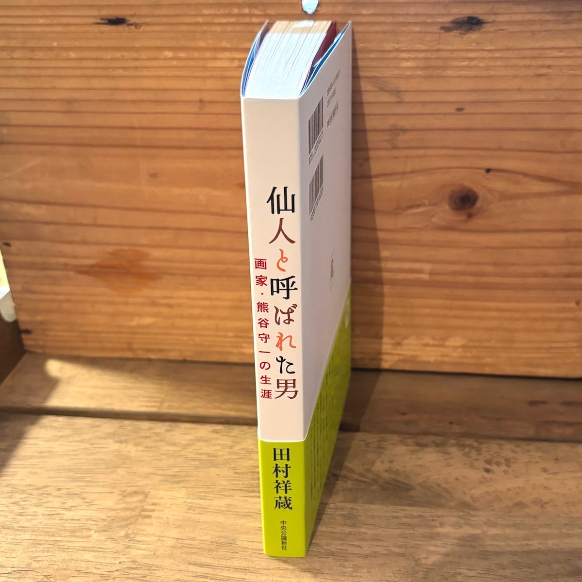 古本｜仙人と呼ばれた男 画家・熊谷守一の生涯 | 緑蔭堂