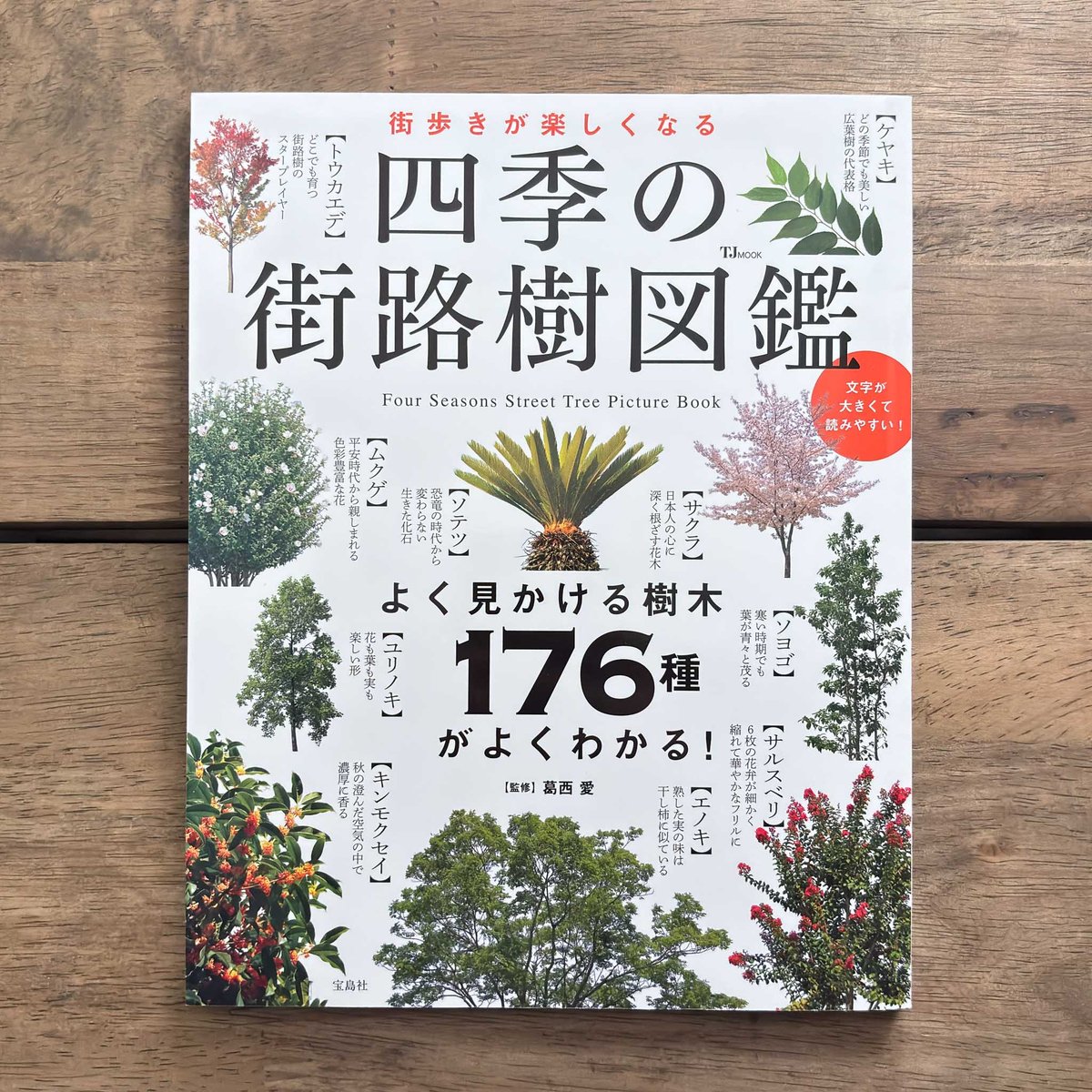 古本｜街歩きが楽しくなる 四季の街路樹図鑑 | 緑蔭堂