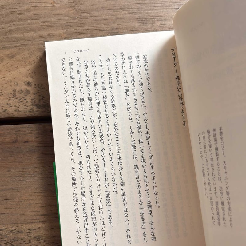 本草備要　經驗千方　古本　古書　古典 本草備要 經驗千方 古本 古書 古典 本草備要 經驗千方 古本 古書 古典
