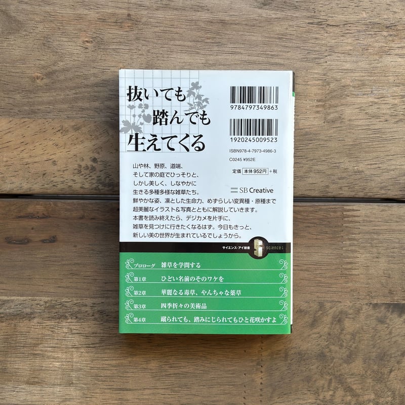 古本｜身近な雑草のふしぎ | 緑蔭堂