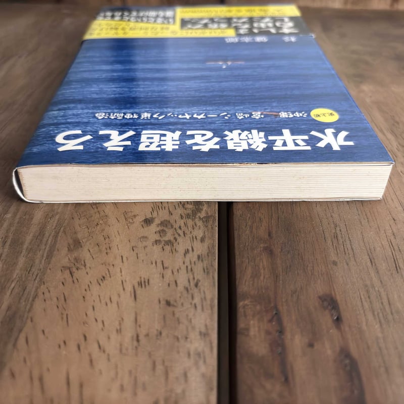 古本｜水平線を超えろ 史上初 沖縄宮崎シーカヤック単独航海 | 緑蔭堂