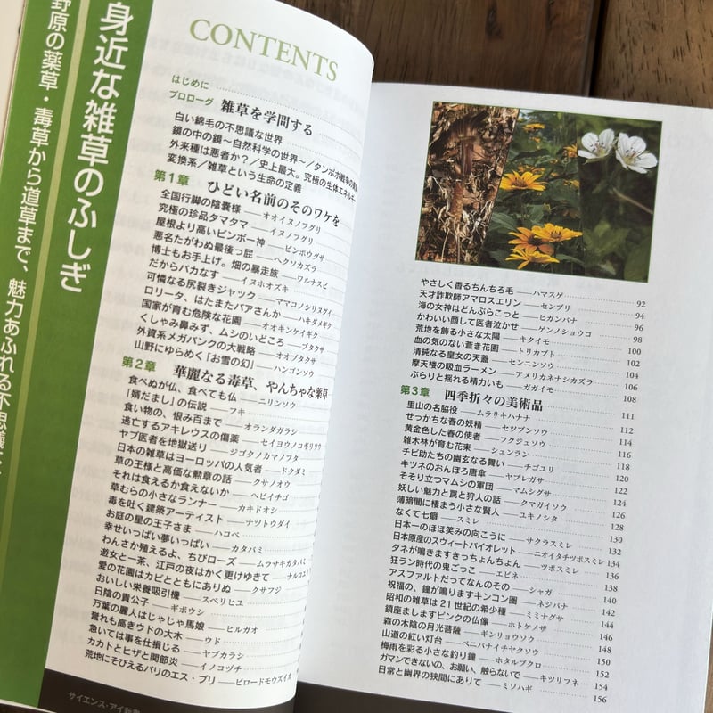 古本｜身近な雑草のふしぎ | 緑蔭堂