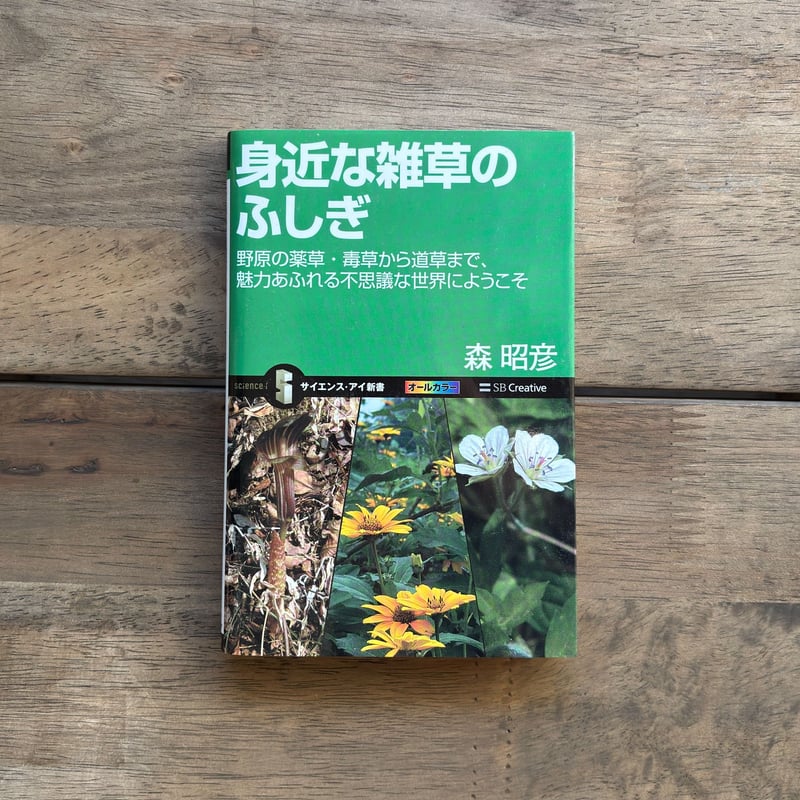 本草備要 經驗千方 古本 古書 古典 【公式通販】