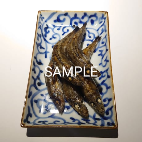 めひかり | STORES