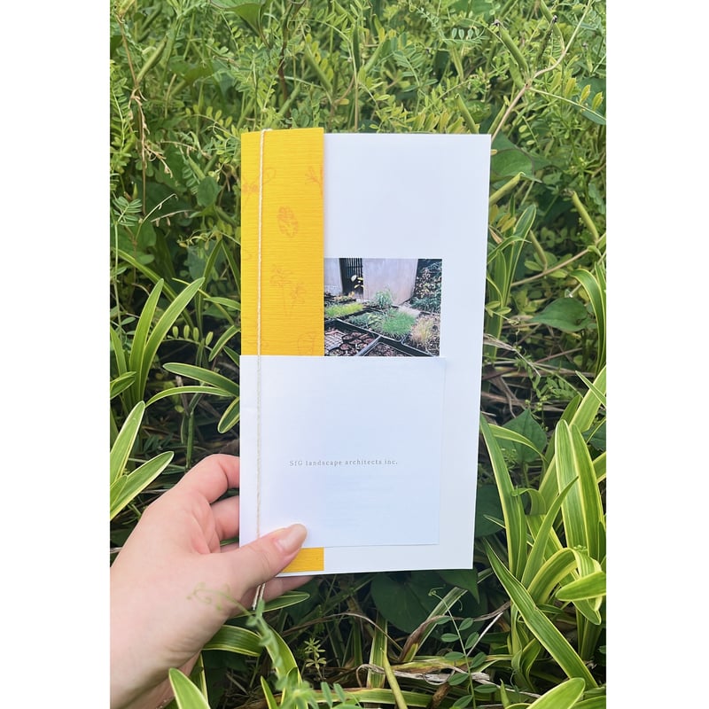 種を蒔く | SfG books