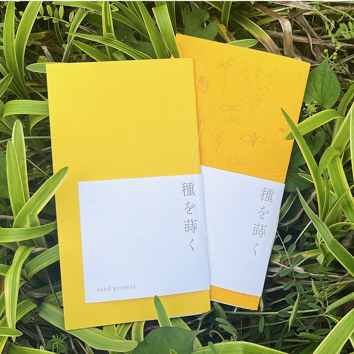 種を蒔く | SfG books