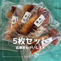 【朝市わじまのさかなや】干物 イカ５枚セット