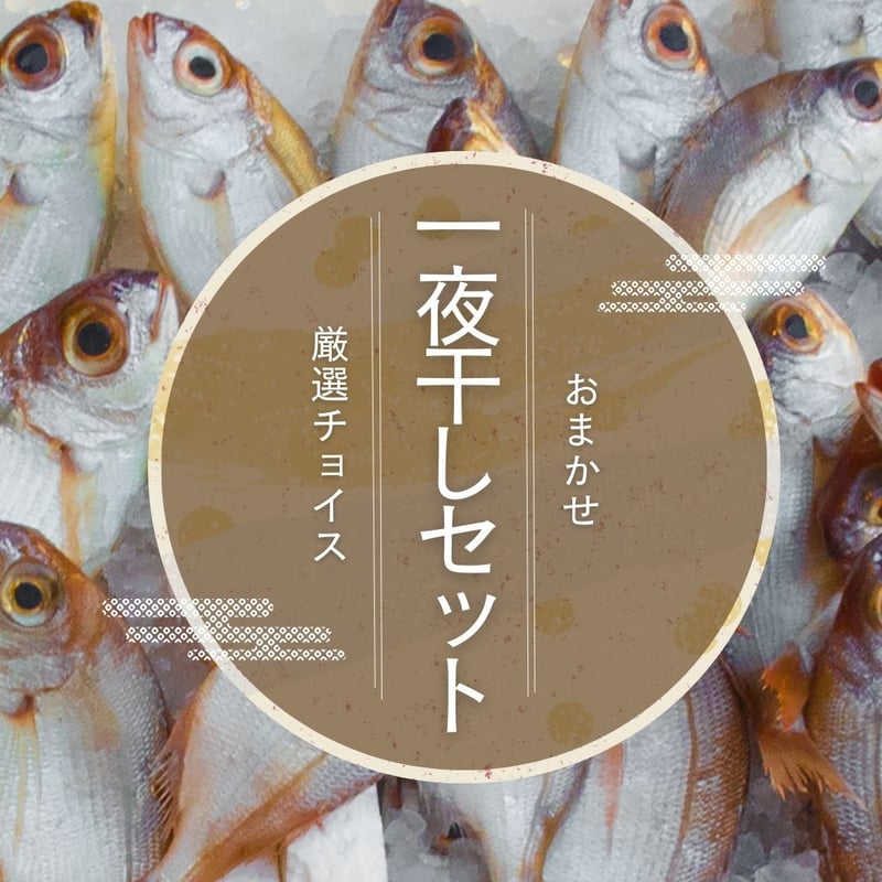 さかなやさん専用ページ さかなやさん専用ページ お魚さん専用 さかなさん専用 さかなさん専用