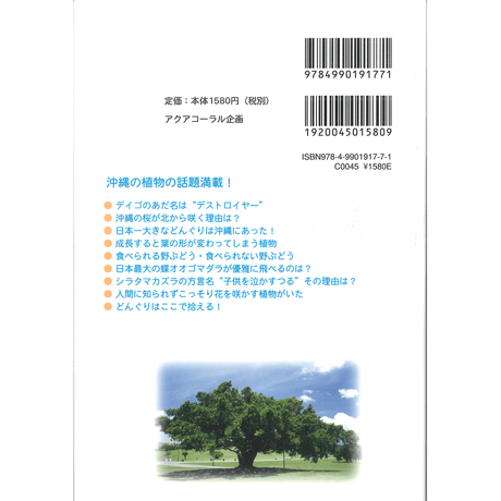 沖縄の野山を楽しむ植物の本　改訂