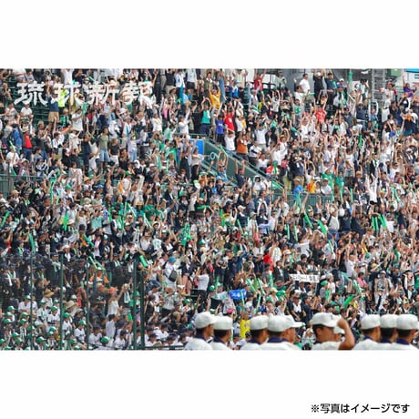 写真集「沖縄尚学　夏の甲子園初Ｖ　全国制覇再び」