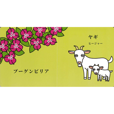 おきなわ、これなあに？おきなわゆびさしえほん