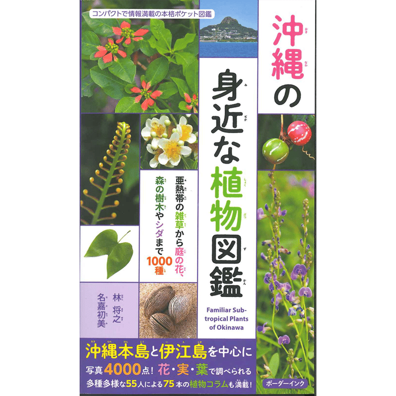 沖縄の身近な植物図鑑 | 琉球新報STORE