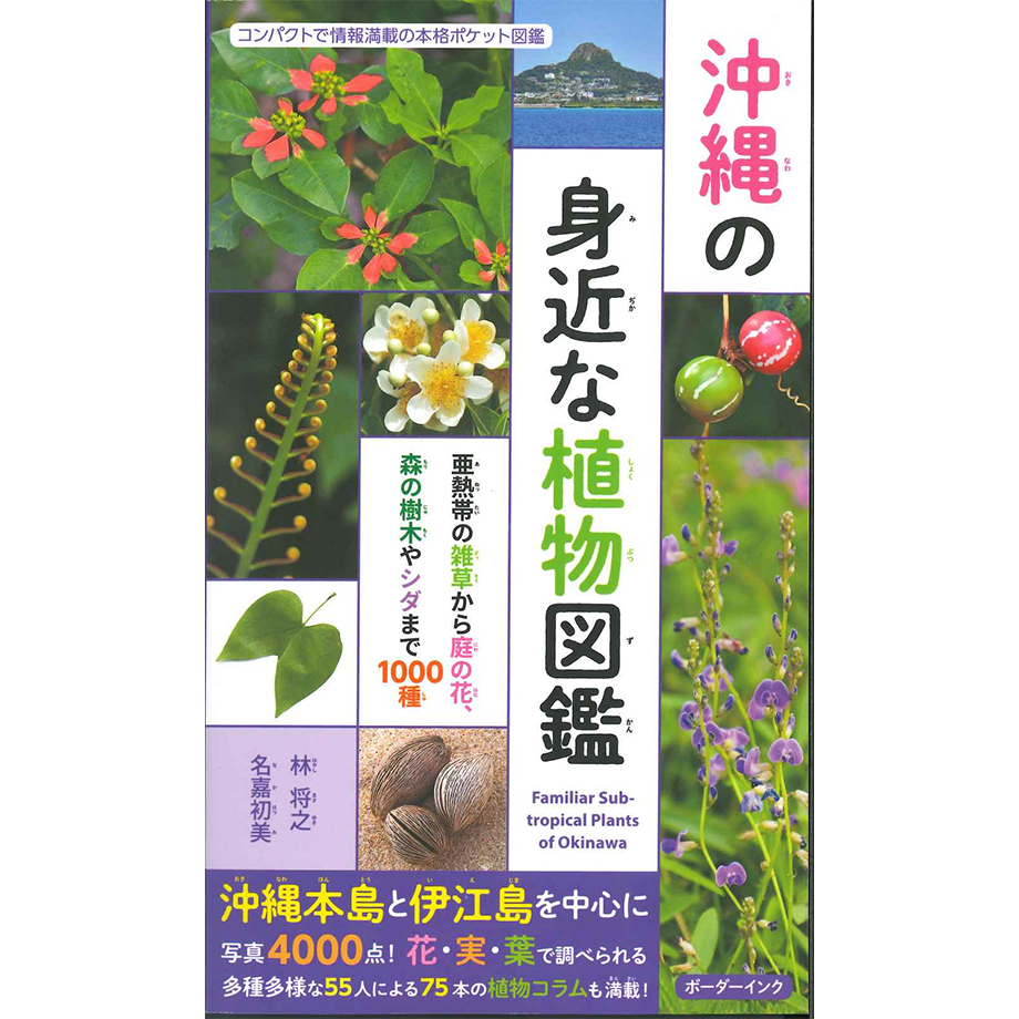 沖縄の身近な植物図鑑 | 琉球新報STORE
