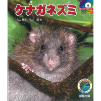 ケナガネズミ