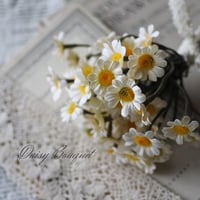 Petit Daisy Bouquet— 小さなデイジーのナチュラルミニブーケ —