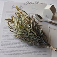 Italian Ruscus Bunch イタリアンルスカス 3本1束 リアル フェイクグリーン スワッグ 葉材