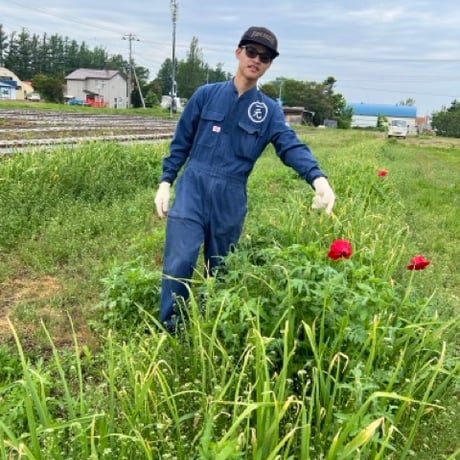 自然栽培野菜セット【数量限定】