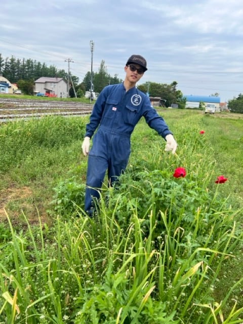 自然栽培野菜セット【数量限定】 | 一元ファーム