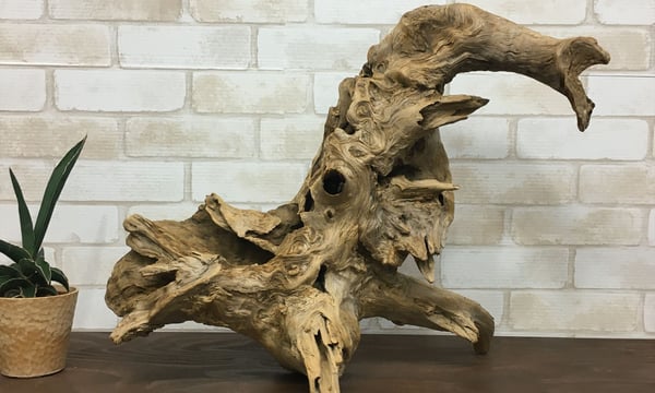 流木素材販売店「流木のふるさと」