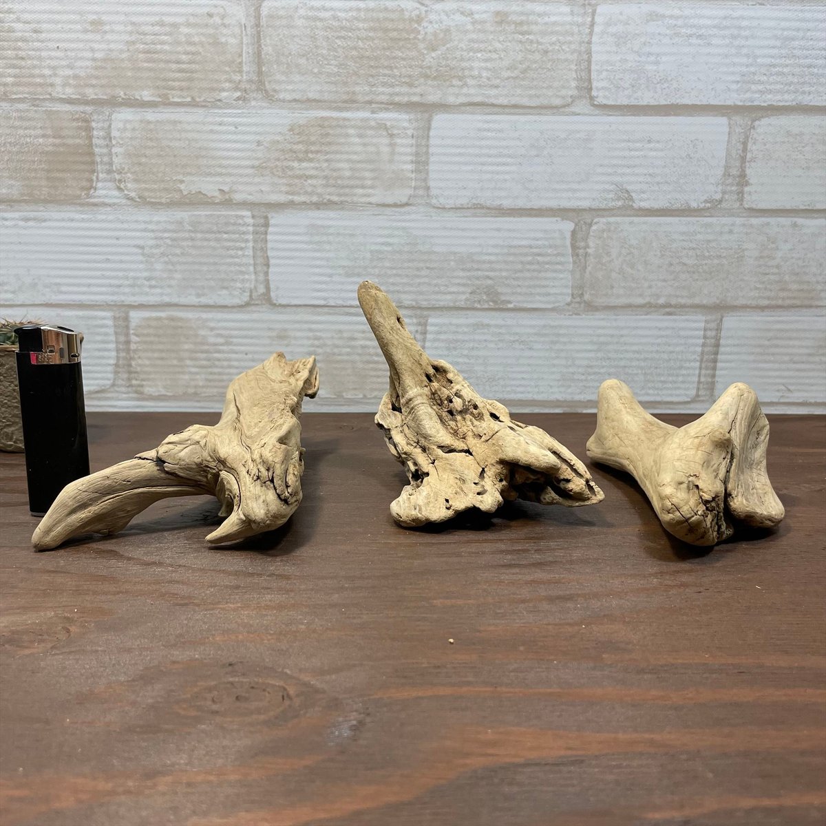 流木素材（かけら中） 流木オブジェ 流木インテリア KM22005 | 流木