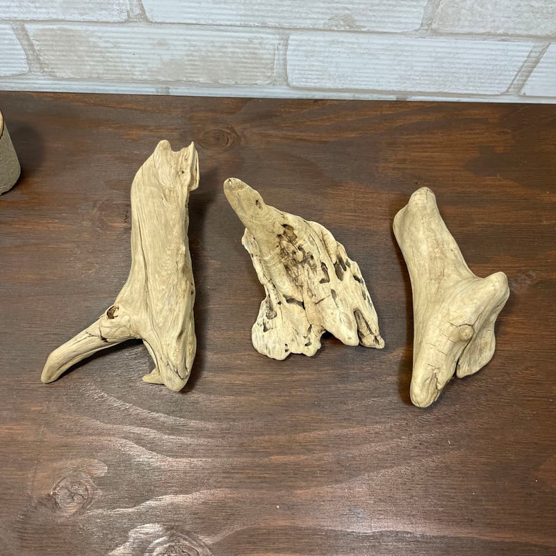 流木オブジェ　流木インテリア 流木素材（かけら中） 流木オブジェ 流木インテリア KM22005 | 流木