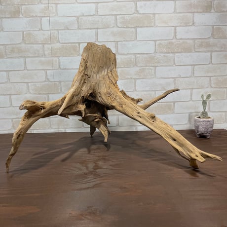流木 大型75.5cm 超インテリア 流木 大型75.5cm 超インテリア CATEGORY
