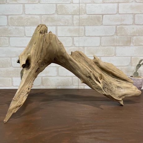流木 大型75.5cm 超インテリア 流木 大型75.5cm 超インテリア