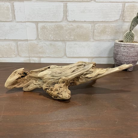 流木通販 | STORES