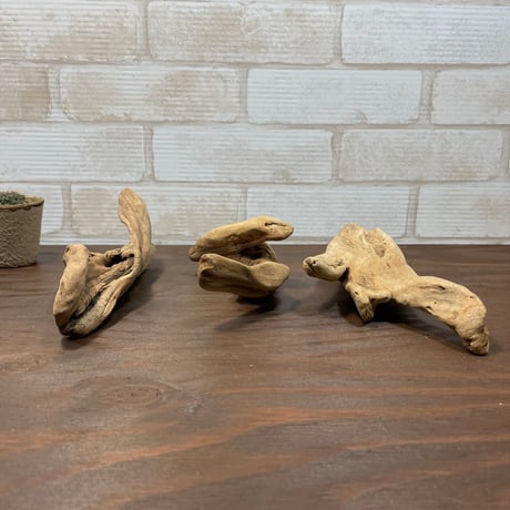 受注品：流木 CATEGORY 流木のかけら（中） | 流木素材販売店「流木のふるさと」