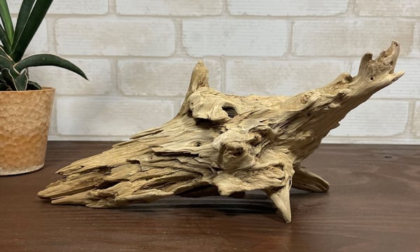 流木素材販売店「流木のふるさと」