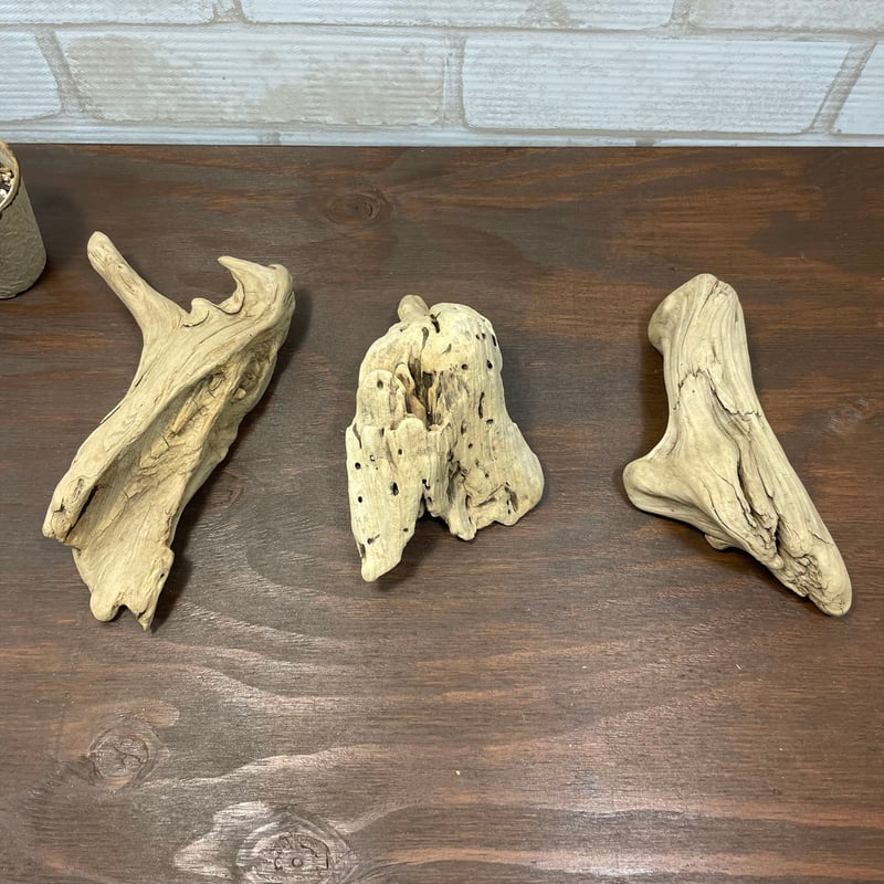 流木素材（かけら中） 流木オブジェ 流木インテリア KM22005 | 流木