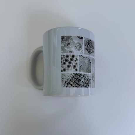 マグカップ（電子顕微鏡画像）【予約注文商品】
