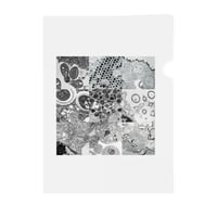 クリアファイル Pathogens（電子顕微鏡画像）