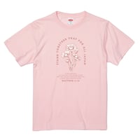 カモミール_ピンク
