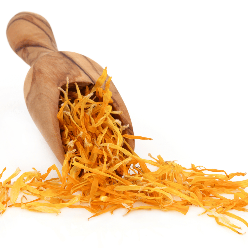 マリーゴールド/カレンデュラ | アロマとハーブのお店 みどりの雫