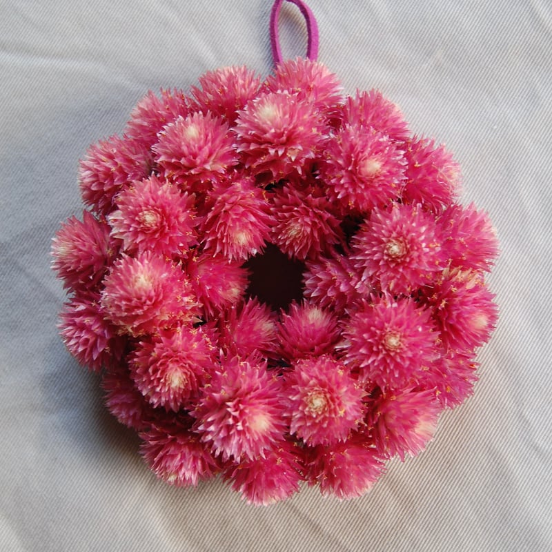 千日紅のミニリース | étoile