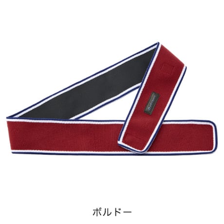 ★ファイテン★phiten★RAKUWAバンド