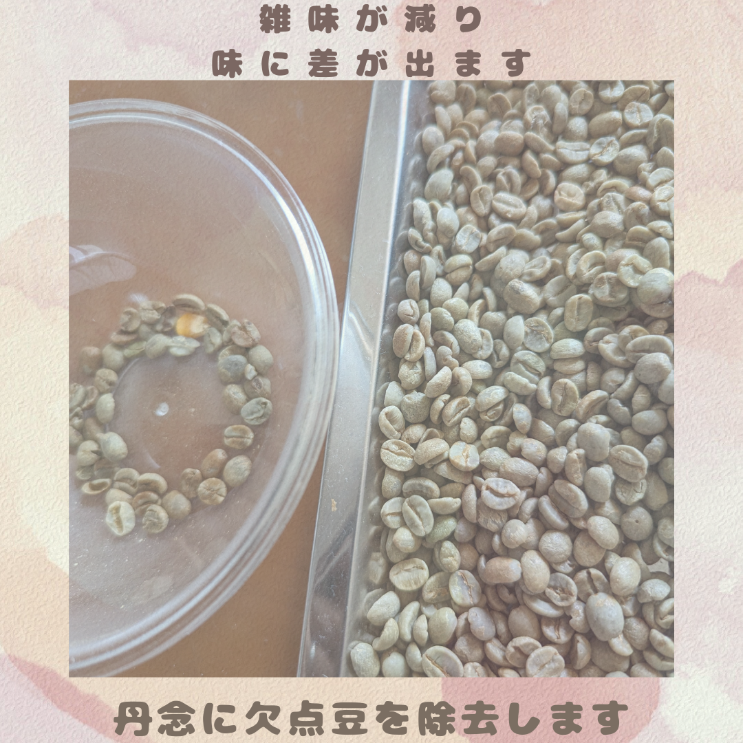 ホンジュラスHG | 珈音コーヒー