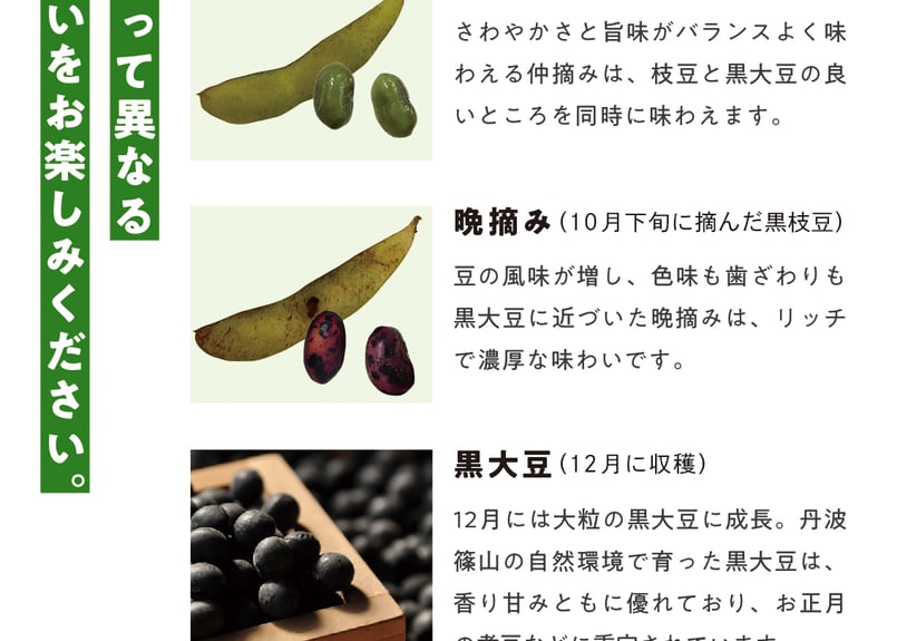 令和7年産 丹波篠山産 黒枝豆 500g入 | 耕しや ネットストア