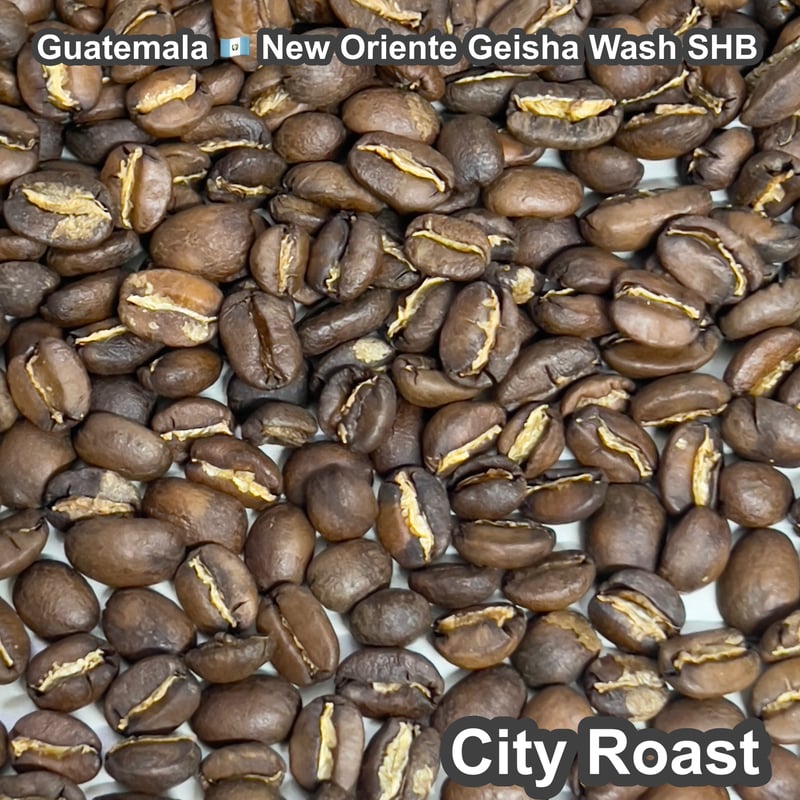完全受注焙煎・自家焙煎コーヒー豆】Guatemala New Oriente Geisha