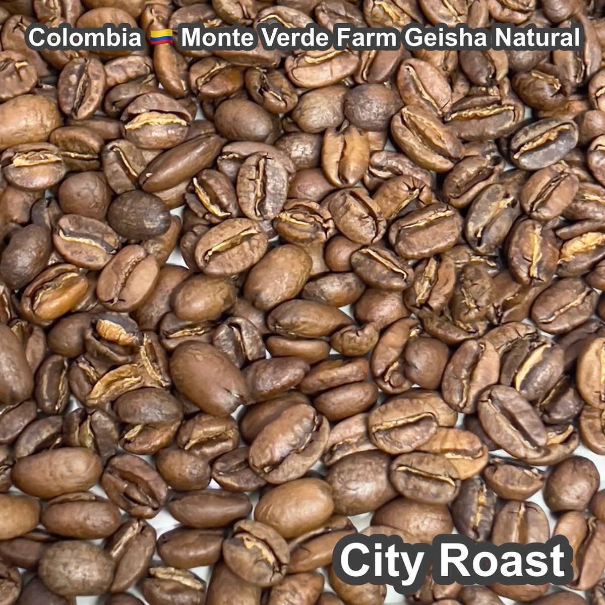 完全受注焙煎・自家焙煎コーヒー豆】 Colombia Monte Verde Farm Ge