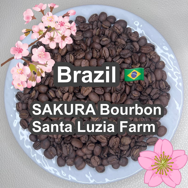 受注焙煎・自家焙煎コーヒー豆】Brazil SAKURA Bourbon Santa Luz