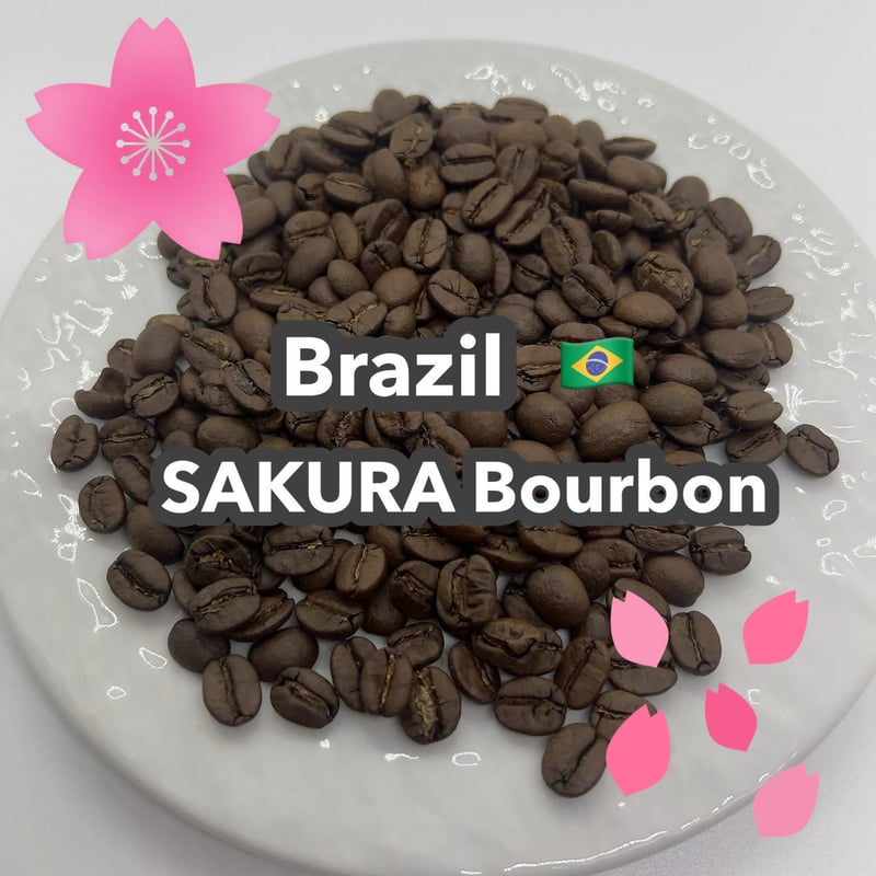 受注焙煎・自家焙煎コーヒー豆】Brazil SAKURA Bourbon(2025年