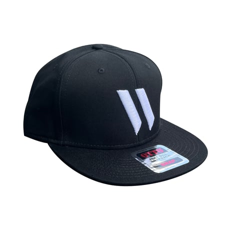 WIRED BASE BALL CAP