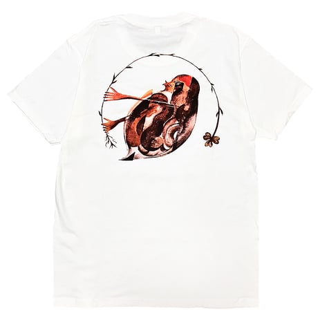 SHORT SLEEVE T SHIRTS WHITE