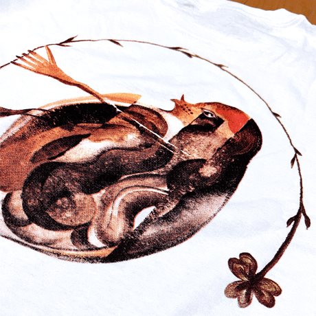 SHORT SLEEVE T SHIRTS WHITE