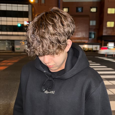 バックロゴパーカー