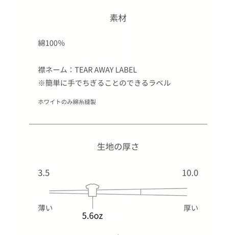 【ラメ】ビックロンT 白