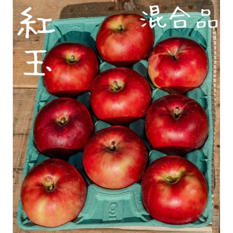 はとらず　紅玉　A.B混合品/10月中旬発送